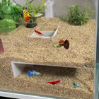 Pla Black white Square Underground Corner Tunnel For Aquarium Cave Aquatic Fish