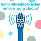 Colgate Kids Powered Vibrating Toothbrush Bluey 1 1 Count  pack Of 1   Blue 