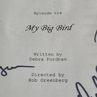 Scrubs Cast Autographed Signed Script Tv Show 2005 7 Signatures  508 My Big Bird