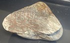 Pattern Red Design Rough Rock  Lapidary  Or Display Lines Jasper Chicken Track  