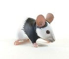 Japan Kaiyodo Choco Q Black White Mouse Pet Miniature Animal Realistic Figure