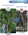 26ft Reach Fruit Picker  5-20 Foot Sturdy Aluminum Telescoping Fruit Picker