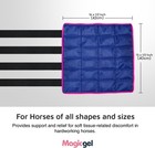 Paquete De Hielo Para Caballos Con Estuche De Transporte Envoltura Refrescante