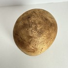 Vintage Antique Wood Block Hat Mold Millinery Form 831 Two Piece 21-1 2   