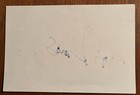 Tori Amos Signed 4x6 White Index Card