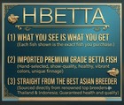 Live Betta Fish Plakat Dbl Tail Hulk Male Grd Premium Usa Seller Rare Green Eyes
