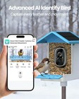 Smart Bird Feeder With Camera Solar Powered Camera Bird Feeder 2 5k Live Feed