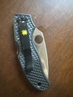 Spyderco Calypso Jr  Folding Knife