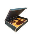 Violin Parts Set Snake Wood Accessories Grate Gift