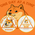 Dogecoin Aa Sobriety Coin Motivational Shiba Inu Themed Aa Medallion Sober Gifts