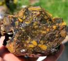 Rare 2 Lb Unique Brecciated Jasper-agate Rough  dendritic  From Utah