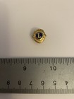 Lions Club Lapel Pin P171