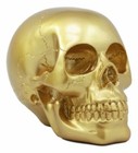 Gold Skull Head Collectible Skeleton Decoration Figurine