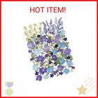 100 Pcs Real Dried Pressed Flowers Leaves Natural Plant Herbarium For Diy Resin
