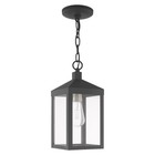 Lighting 1-light Pendant  Antique Brass