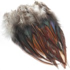 50pcs Natural Rooster Tail Feathers Diy Accessories Feathers For Hat Clothing De