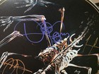 Tool Band Autographed 22  Evans Bass Drum Heads 2023 Eugene Or Signed Rare Apc