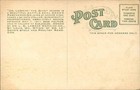 Missouri Mo Giant Horse Dr  Legear Medcine C1900s-10s Vintage Postcard Bhn