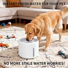 2 5l  Automatic Pet Water Fountain Dispenser For Cat And Dog Drinking Supplies