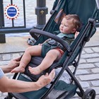 Stroller Oversized Canopy Extra Large Storage Compact Fold Ingenuity Lightweight