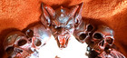 Vtg Gothic   Halloween Devil Reflection Distress Mirror