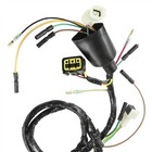 Complete Wire Harness Fits Honda Trx400ex Sportrax 400 2x4 1999-04 32100-hn1-000