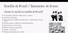 Semilla De Brasil