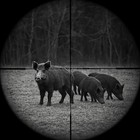 Nk Night Vision Rifle Scope 300 Yard Range Ready To Mount