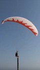 Paraglider Wing Dominator Paramotor Performance Safety New Kite Free Flying Ppg