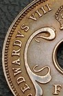 East Africa                                  5 Cents 1936 Kn  Km 23  5 Pence Coin  Edward Viii 