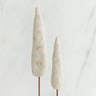 Willow Tree Cypress Trees  27598 
