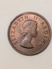 South Africa - 1954 - Penny  - D 59