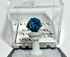 Euclase Rare Dark Blue Premium Crystal Thumbnail From Zimbabwe