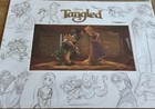 Tangled Movie Limited Edition Disney Art Lithograph Numbered 366 5000