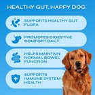 Dog Probiotics - 260 Billion Cfu Per Pack With Prebiotics  Digestive Enzymes  Pu
