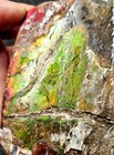 1 Lb 4 2 Oz Large Canadian Fossil Ammolite Specimen Collector Or Lapidary