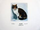 Calico Cat 2-pack Magnetic Notepad To Do List  Grocery Shopping List For Fridge