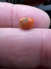 Very Old Natural Salmon Colored Nepali Disc Bead 7 8 X 7 5 X 5 5 Collectible