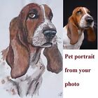 Custom Pet Portrait Dog Cat Animal Original Painting From Photo