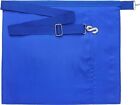 Masonic Master Mason Blue Lodge Apron With Radiant G-lambskin
