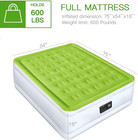 Full Size Air Mattress With Built In Electric Pump 18 Inch Raised Inflatable Bed