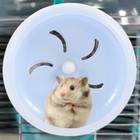 Hedgehog Wheel Hamster Exercise Wheel Silent Runner Wheel Large Hamster Wheel