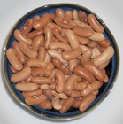 Contender Bush Bean Seed - Heirloom Greenpod Garden Beans Seeds  0 50oz To 8oz 