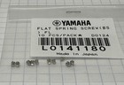 Yamaha Flute  Flat Spring Screw 10 Pack