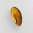 Feather In Burmese   Burmite Amber Fossil   100  Genuine Amber