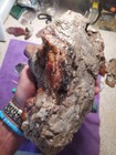 70s Old Stock Penny s Deer Creek Fire Agate Rough Arizona Large Gems 2805g 6lbs