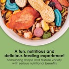 Kaytee Fiesta Mouse   Rat Food  Nutritious Blend  4 5 Pounds
