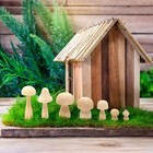 Mini Wooden Mushrooms To Paint  Unfinished Wood Figurines  7 Sizes  14 Pack 