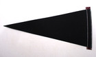  haunted Mansion - Long Branch  Nj  18  Felt Pennant Cosmic Dracula Reproduction