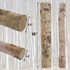 12 Pcs 16 Large White Birch Logs For Faux Fireplace Filler  Decorative Firewo   